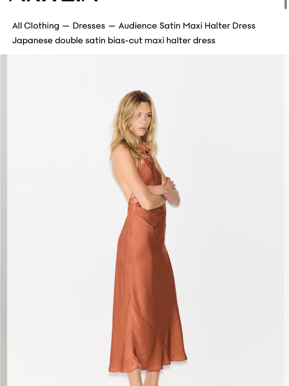 Aritzia Satin Maxi Dress in Rust